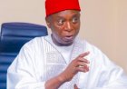 Every man should marry more than one wife - Sen Ned Nwoko  ..says I pity those with one wife