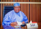 Group sues SGF, demands release of Defence Minister Matawalle’s academic records