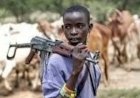 Suspected herdsmen kill over 15 in Ojatele community, Benue state