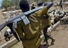 Benue attacks: Alia moves against armed herdsmen, orders their immediate dislodgement from Benue forests