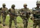 Agatu youths demand military exit, allege security failures in Benue communities