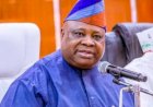 Adeleke: My elder brother is my father figure, adviser