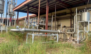 BIPC Orders Asset Audit of Wannune Tomato Factory