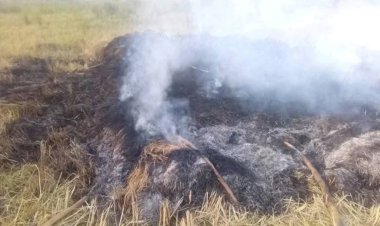 Suspected herdsmen set N20m rice farm ablaze in Benue community