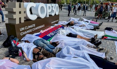 COP30: ‘Nature Not For Sale’ - Environmental groups gault VP Shettima’s call to monetise natural assets