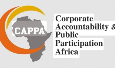 World Diabetes Day: CAPPA backs call for state of emergency as Diabetes deaths hit 30,000 annually in Nigeria