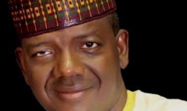 NANS demands Matawalle’s sack over bandits allegation, issues one-week ultimatum