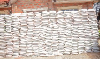 Sen. Moro spreads Christmas cheer in Benue South, distributes rice, livestock worth millions