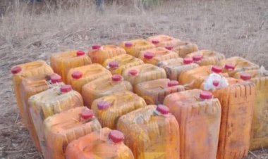 Troops make major arrests, seize terrorist supplies in Adamawa operations