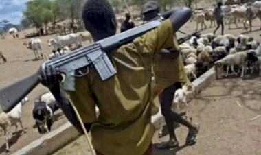 Two security officers, five others killed as herdsmen attack Benue community in escalating violence