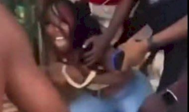 NBA condemns sexual assault of women at Ozoro Festival, calls it a national disgrace