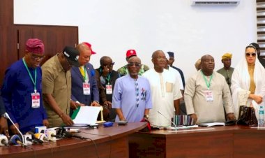 PDP NEC endorses congresses, confirms zoning ahead of National Convention