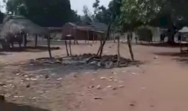 FACT CHECK: Were 17 people killed on Easter Sunday in Gwer East, Benue state as widely reported on April 5, 2026?