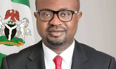 UK-based Nigerians decry Internarional Passport renewal delays, alleges deliberate frustration by NIS, Interior Ministry