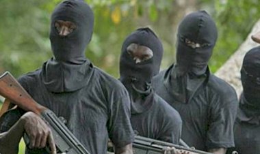 Grief turns to horror as suspected herdsmen abduct three siblings, mother's corpse in Benue