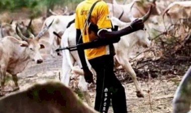 One feared dead, several injured as fresh attacks hit Benue's Sankera axis