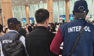 Police Repatriate Chinese Fugitive Wanted Over 12 Tonnes of Pangolin Scale Smuggling