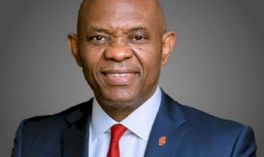 Tony Elumelu retires as UBA Group Chairman after 12-year tenure
