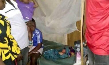 Newborn found alive after three days abandoned in Benue forest