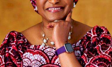 Senator Ireti Kingibe: I won’t be intimidated by Wike, political pressure