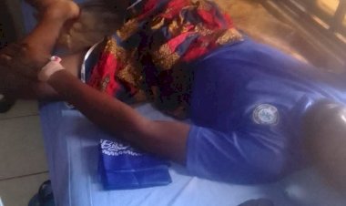 Benue: CERON raises alarm over snakebite deaths in IDP camps, urges fumigation