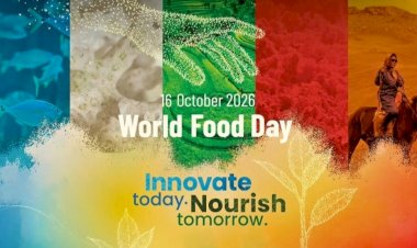 CAPPA urges FG to prioritise affordable, nutritious food, tighten regulations