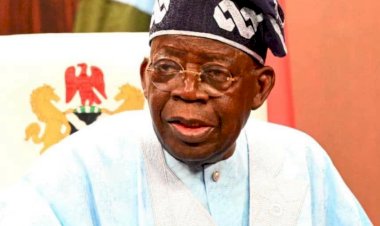 ADC, Sokoto govt clash over Tinubu’s INEC nominee, demand political neutrality