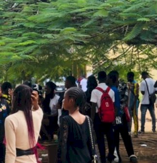 Groups Raise Alarm Over Targeting of Nigerian Students with Nicotine Products