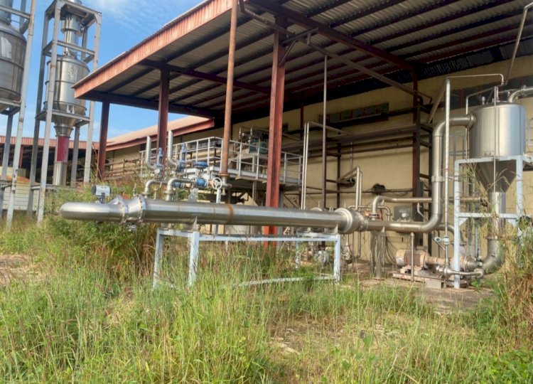 BIPC Orders Asset Audit of Wannune Tomato Factory