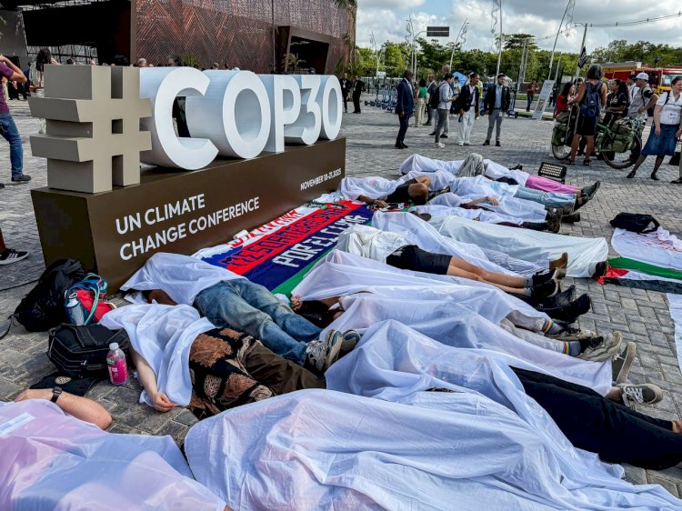 COP30: ‘Nature Not For Sale’ - Environmental groups gault VP Shettima’s call to monetise natural assets