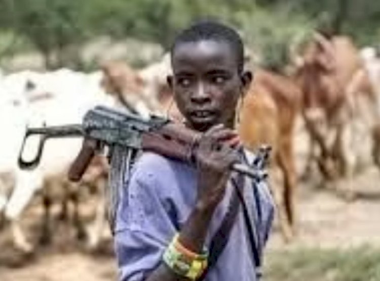 Two dead, several injured in fresh attack by suspected herdsmen in Mbamar, Benue state