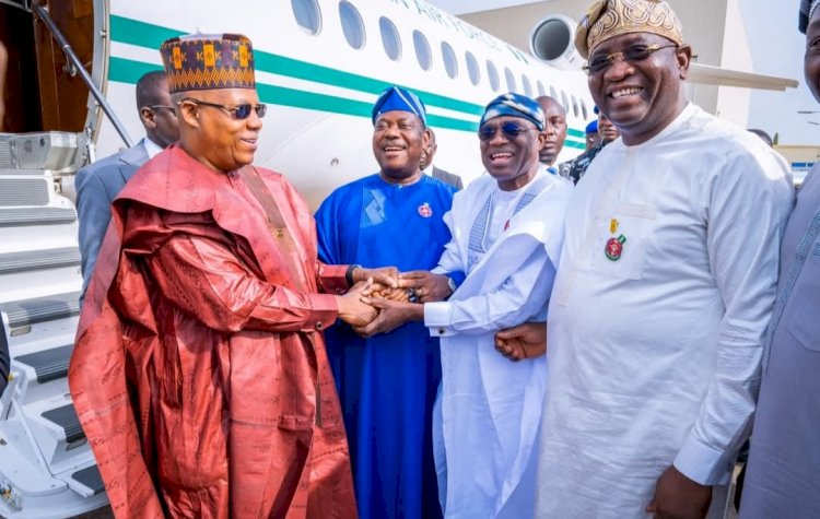 Shettima calls for unity, reconciliation between Gov. Alia and Sen Akume at son’s wedding