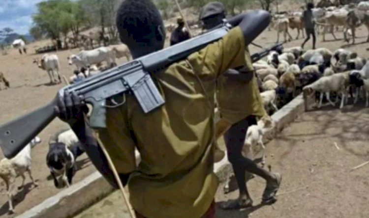 Tension in Benue LG as armed herders seize seven out of 10 Council Wards, kill four