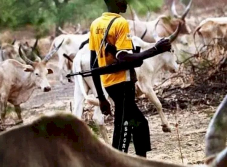 Panic in Benue as herdsmen kill three, abduct passengers, sack police checkpoint in Otukpo attacks